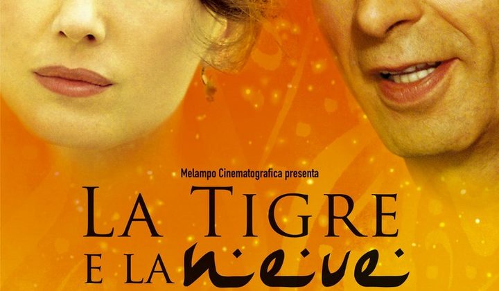 Тигр и снег
